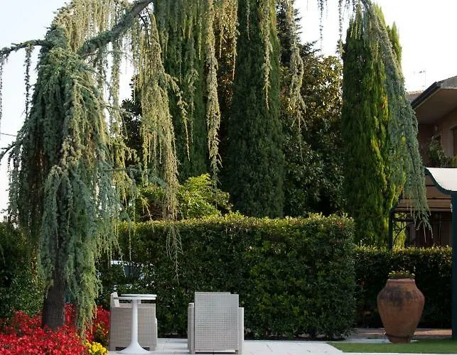 Orange فيلة بيسكانتينا