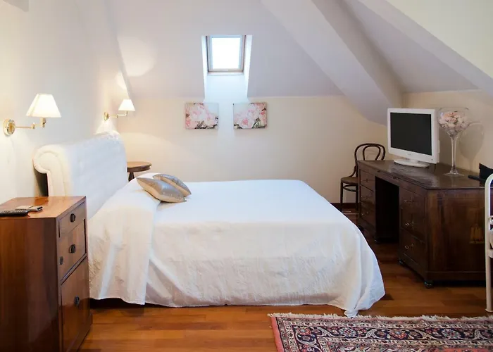 Orange فيلة بيسكانتينا